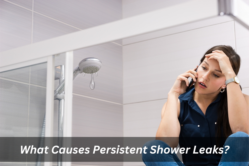 Image presents What Causes Persistent Shower Leaks