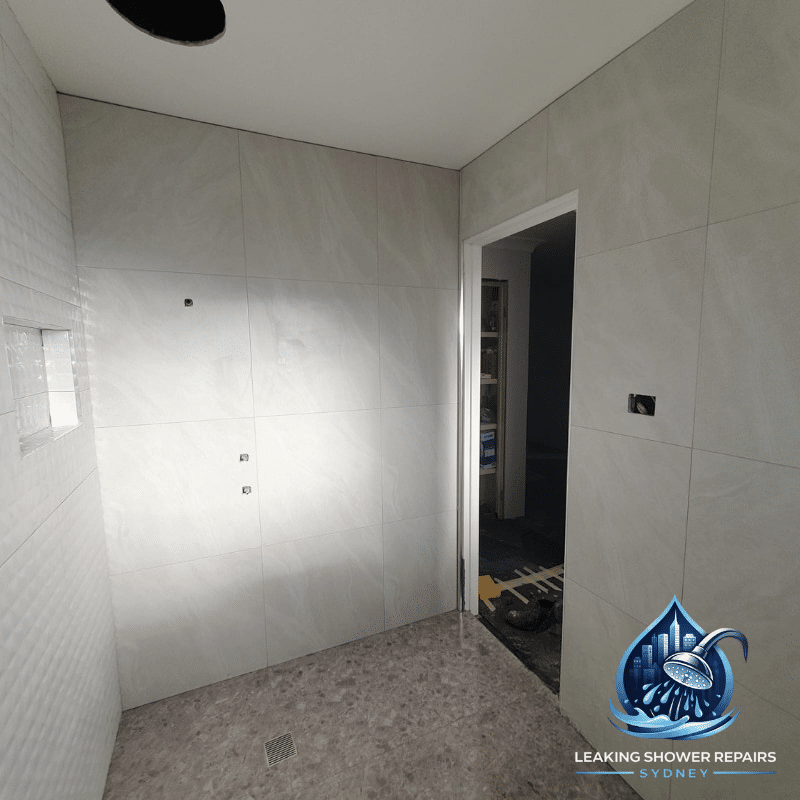 image presents Bathroom Tiling